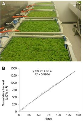 Metabolic Adaptation, a Specialized Leaf Organ Structure and Vascular Responses to Diurnal N2 Fixation by Nostoc azollae Sustain the Astonishing Productivity of Azolla <mark class="highlighted">Ferns</mark> without Nitrogen Fertilizer